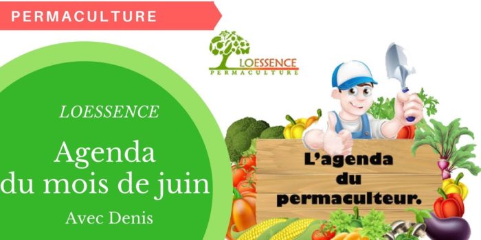 Vlog – Agenda Du Permaculteur Du Mois De Juin.