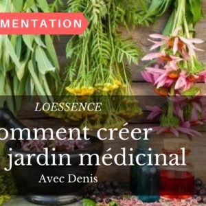 Comment avoir un jardin médicinal