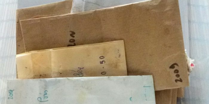 Les Variétés Anciennes Potagères Du Nord, Pas-de-Calais Et De Belgique