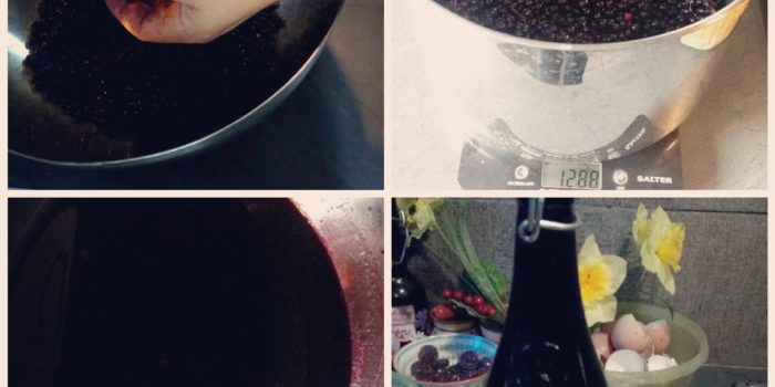 Recette De Sirop De Baie De Sureau Noir