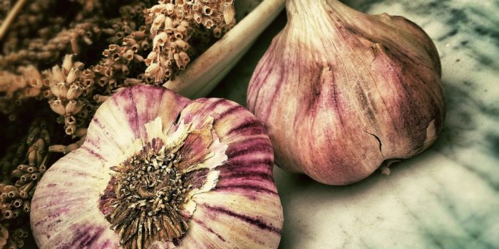 Comment Pratiquer La Culture De L’ail Sur Butte En Permaculture