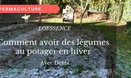 Miniature du cours
