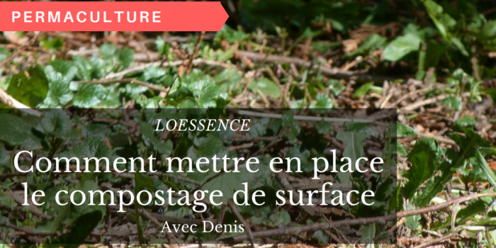 Comment Mettre En Place Le Compostage De Surface
