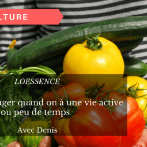 Avoir un potager quand on à une vie active ou peu de temps