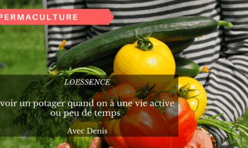 Miniature du cours