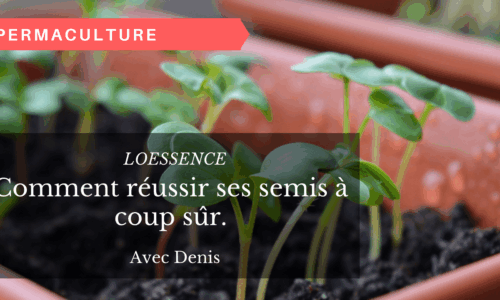 Miniature du cours