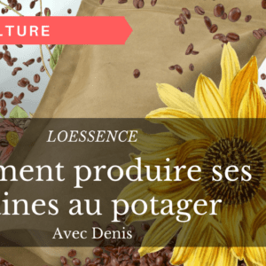 Comment produire ses graines au potager