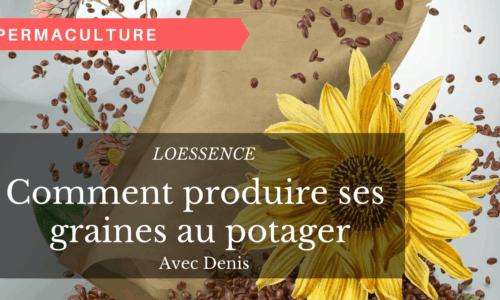 Miniature du cours