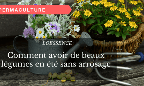 Miniature du cours