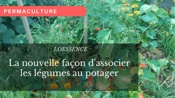 La nouvelle façon d'associer les légumes au potager