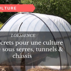 Mes secrets pour une culture réussie sous serres, tunnels & châssis