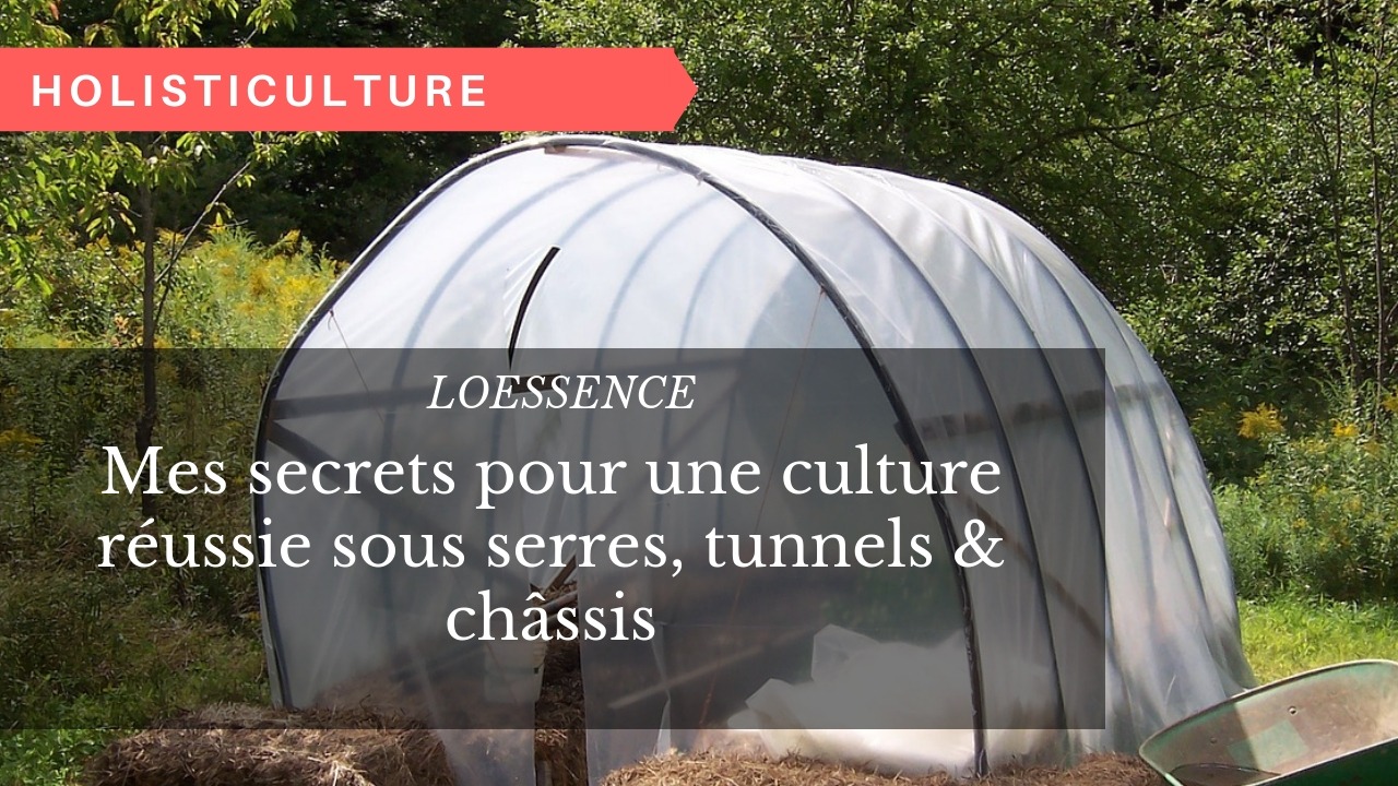 Mes secrets pour une culture réussie sous serres, tunnels & châssis