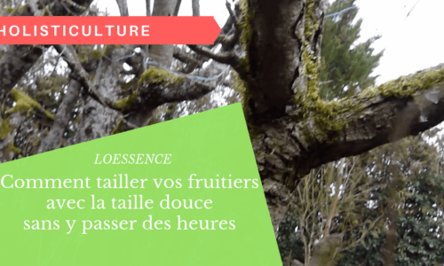 Miniature du cours