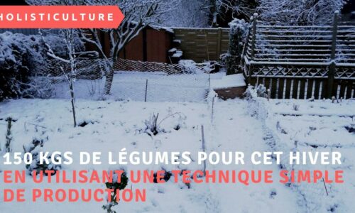 Miniature du cours