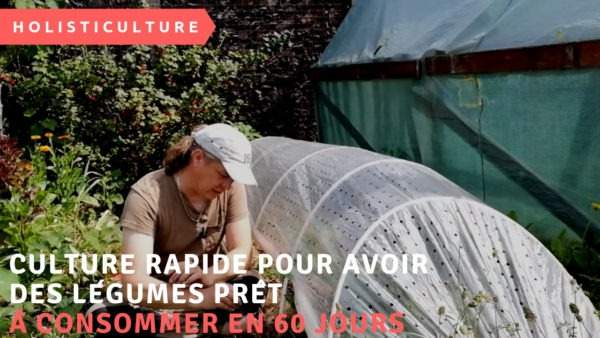 Culture rapide pour avoir des légumes prêts à consommer en 60 jours quand on a pris du retard sur sa production de légumes