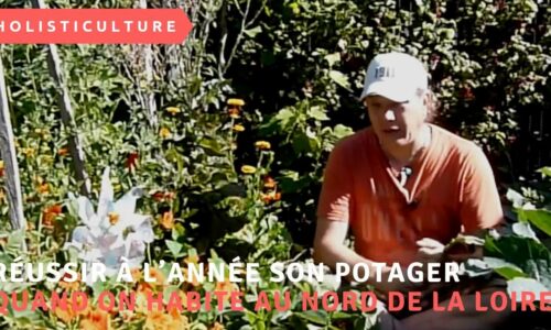 Miniature du cours