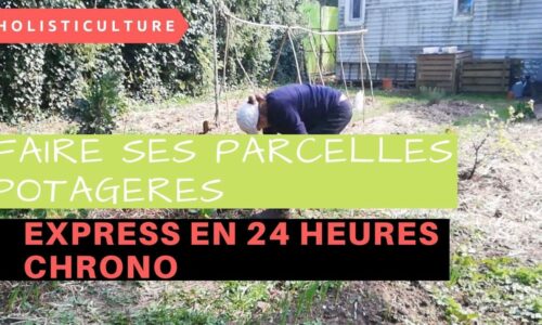 Miniature du cours