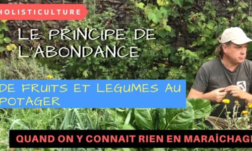 Miniature du cours