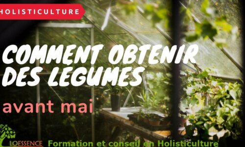 Miniature du cours