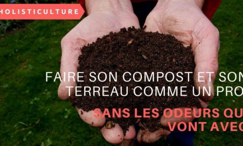 Miniature du cours