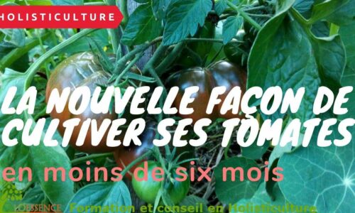 Miniature du cours