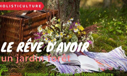 Miniature du cours