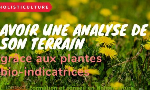 Miniature du cours