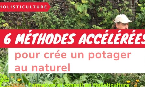 Miniature du cours