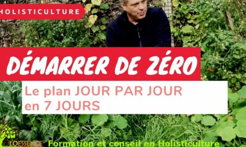 Miniature du cours
