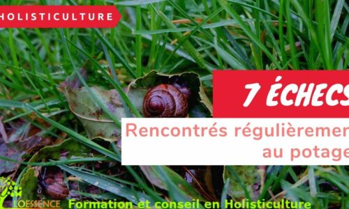 Miniature du cours