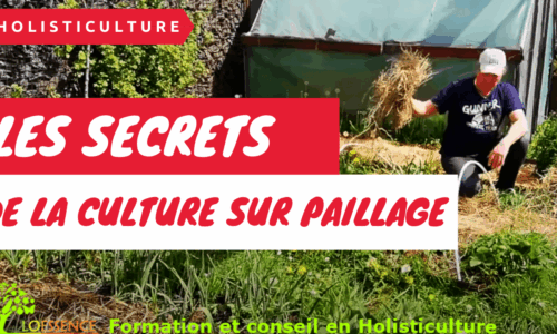 Miniature du cours