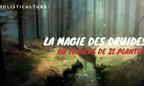 Miniature du cours