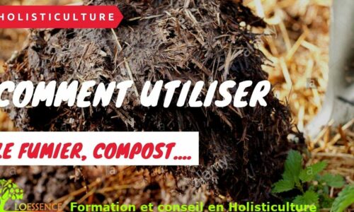 Miniature du cours