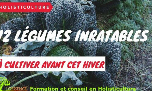Miniature du cours