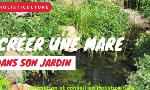Miniature du cours