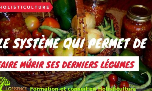 Miniature du cours