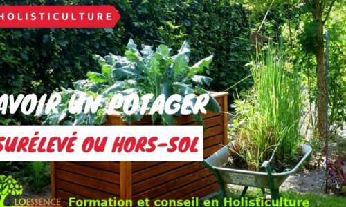Miniature du cours