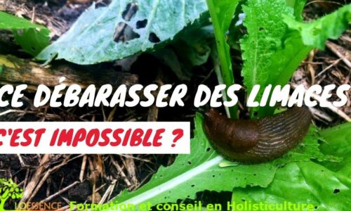 Miniature du cours