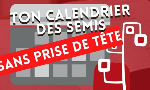Miniature du cours