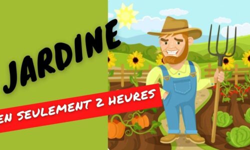 Miniature du cours