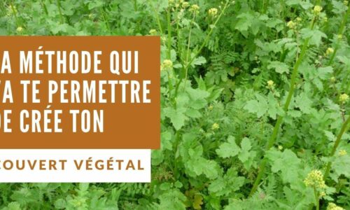 Miniature du cours