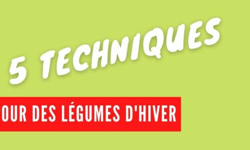Miniature du cours