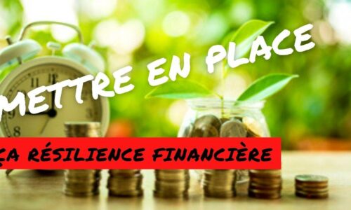 Comment maintenir malgré la crise, ça résilience financière