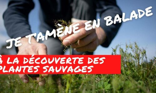 Miniature du cours