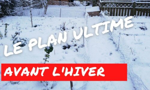 Miniature du cours
