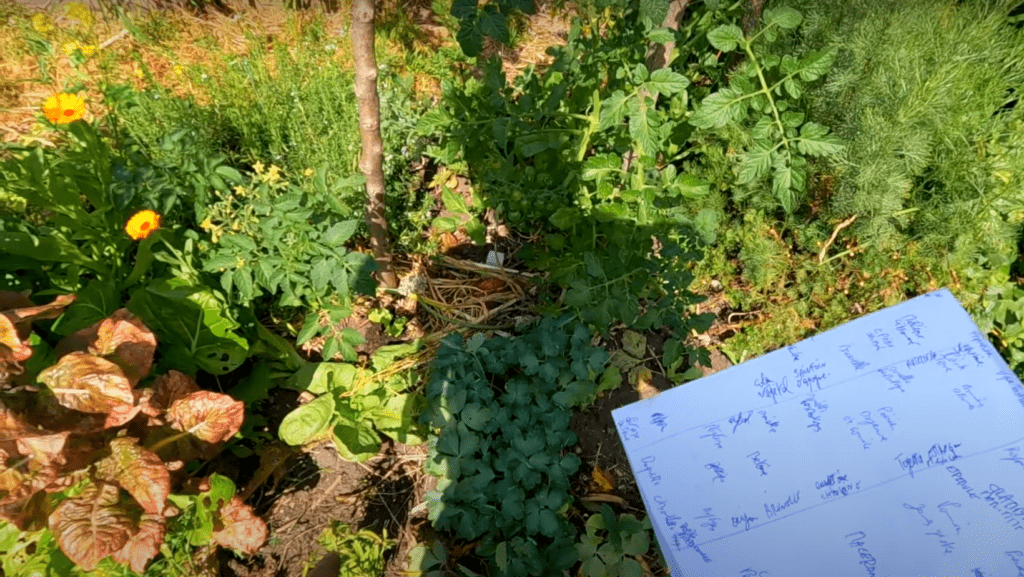 Créez votre potager autonome et nourricier avec l'Holisticulture